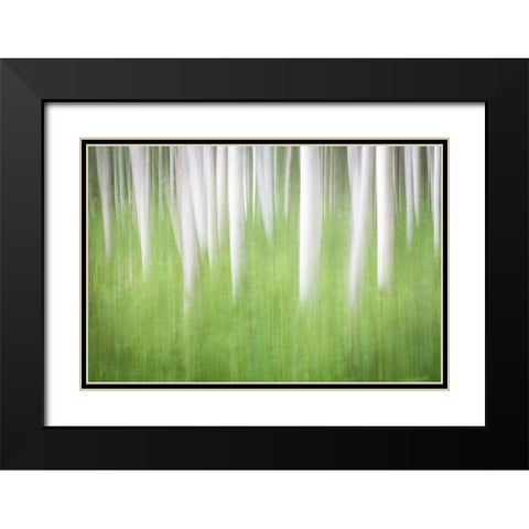 Birch in Motion Black Modern Wood Framed Art Print with Double Matting by Mahan, Kathy