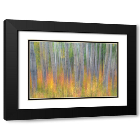 Aspen in Motion I Black Modern Wood Framed Art Print with Double Matting by Mahan, Kathy