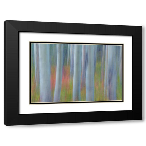 Aspen in Motion II Black Modern Wood Framed Art Print with Double Matting by Mahan, Kathy
