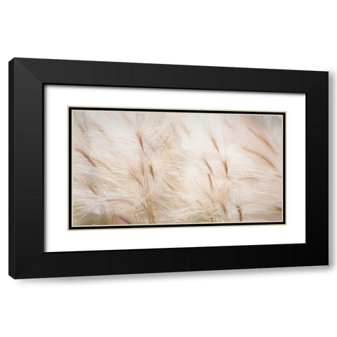 Foxtail Barley III Black Modern Wood Framed Art Print with Double Matting by Mahan, Kathy