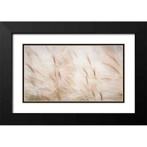 Foxtail Barley III Black Modern Wood Framed Art Print with Double Matting by Mahan, Kathy