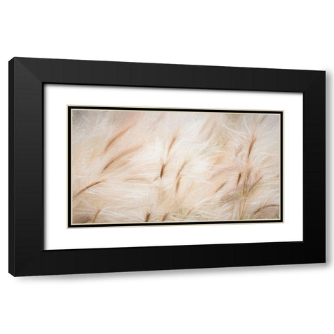 Foxtail Barley IV Black Modern Wood Framed Art Print with Double Matting by Mahan, Kathy