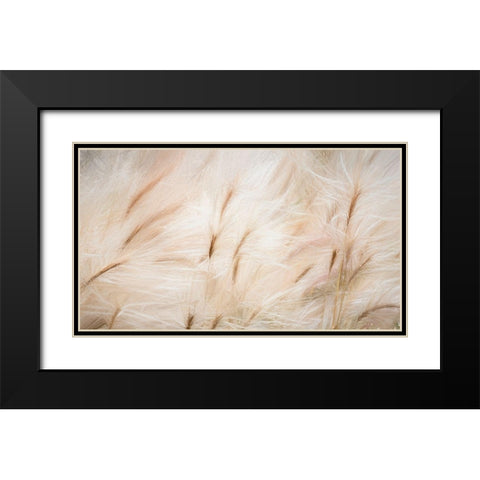 Foxtail Barley IV Black Modern Wood Framed Art Print with Double Matting by Mahan, Kathy