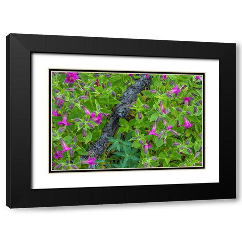 Wildflower Meadow I Black Modern Wood Framed Art Print with Double Matting by Mahan, Kathy