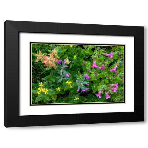 Wildflower Meadow II Black Modern Wood Framed Art Print with Double Matting by Mahan, Kathy