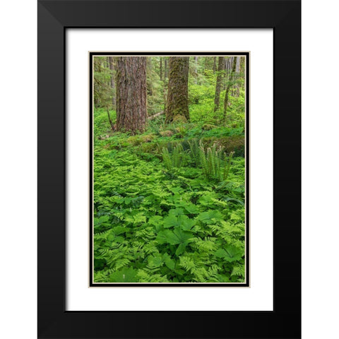 Spring in the Forest Black Modern Wood Framed Art Print with Double Matting by Mahan, Kathy