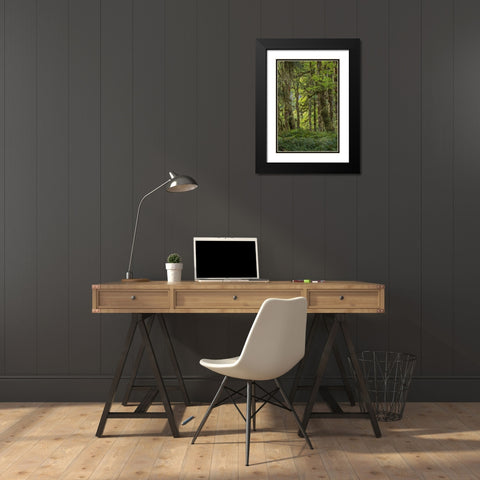 Quinault Rainforest I Black Modern Wood Framed Art Print with Double Matting by Mahan, Kathy