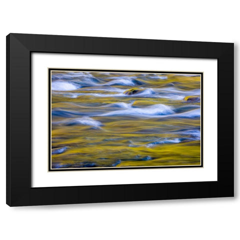 Reflections of Fall I Black Modern Wood Framed Art Print with Double Matting by Mahan, Kathy