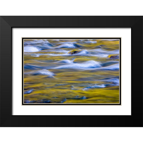 Reflections of Fall I Black Modern Wood Framed Art Print with Double Matting by Mahan, Kathy