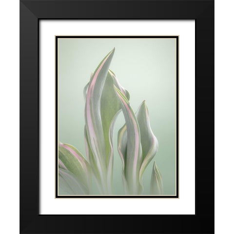 Pale Green Beginning II Black Modern Wood Framed Art Print with Double Matting by Mahan, Kathy