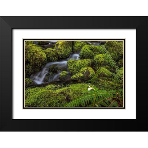 Cedar Creek Detail II Black Modern Wood Framed Art Print with Double Matting by Mahan, Kathy