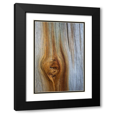Wood Details III Black Modern Wood Framed Art Print with Double Matting by Mahan, Kathy