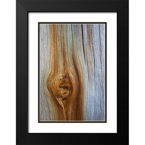 Wood Details III Black Modern Wood Framed Art Print with Double Matting by Mahan, Kathy