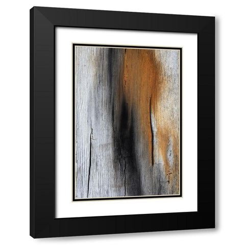 Wood Details IV Black Modern Wood Framed Art Print with Double Matting by Mahan, Kathy