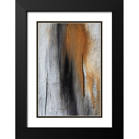Wood Details IV Black Modern Wood Framed Art Print with Double Matting by Mahan, Kathy
