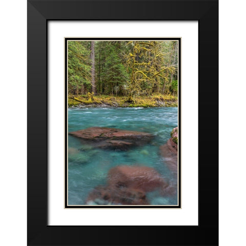 NF Skokomish River III Black Modern Wood Framed Art Print with Double Matting by Mahan, Kathy