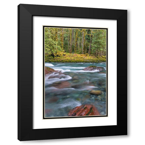 NF Skokomish River IV Black Modern Wood Framed Art Print with Double Matting by Mahan, Kathy