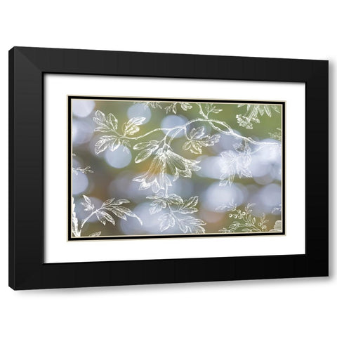 Floral Bokeh IV Black Modern Wood Framed Art Print with Double Matting by Mahan, Kathy