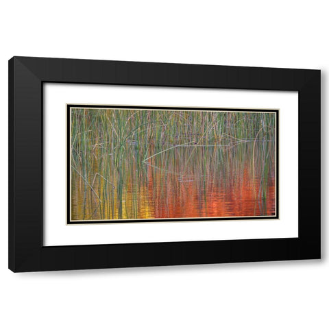 Fall Reflections I Black Modern Wood Framed Art Print with Double Matting by Mahan, Kathy