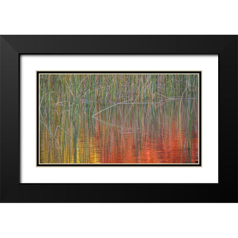 Fall Reflections I Black Modern Wood Framed Art Print with Double Matting by Mahan, Kathy