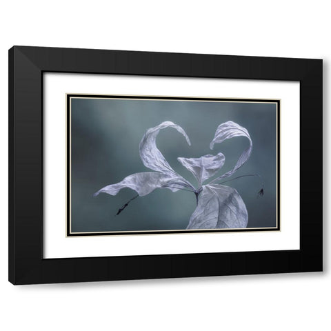 Western Starflower II Black Modern Wood Framed Art Print with Double Matting by Mahan, Kathy