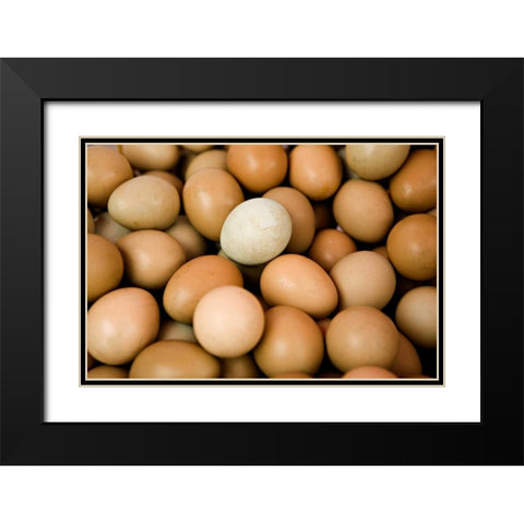 Eggs II Black Modern Wood Framed Art Print with Double Matting by Millet, Karyn