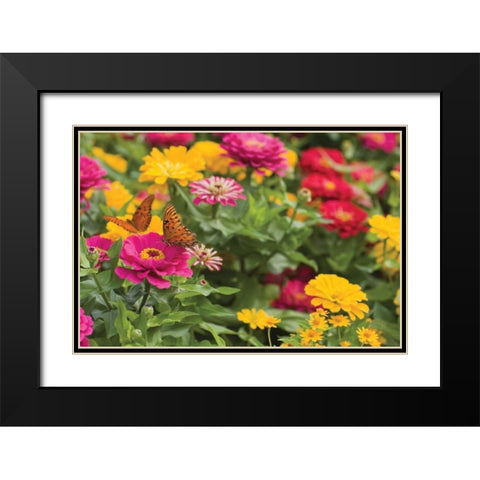 Butterfly Field II Black Modern Wood Framed Art Print with Double Matting by Millet, Karyn