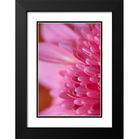 Pink Morning Black Modern Wood Framed Art Print with Double Matting by Millet, Karyn
