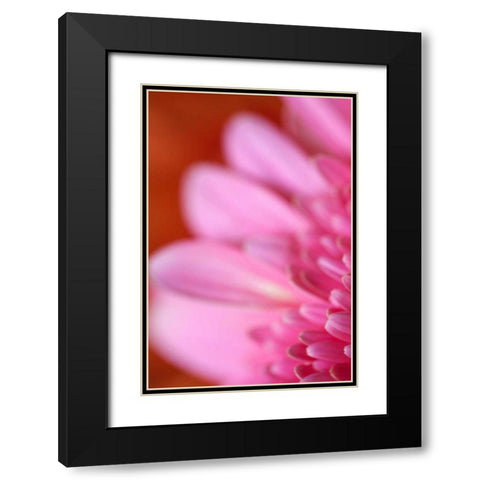 Pink Afternoon Black Modern Wood Framed Art Print with Double Matting by Millet, Karyn