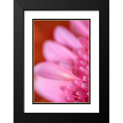 Pink Afternoon Black Modern Wood Framed Art Print with Double Matting by Millet, Karyn
