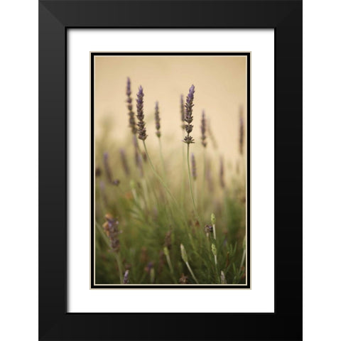 Lavender I Black Modern Wood Framed Art Print with Double Matting by Millet, Karyn