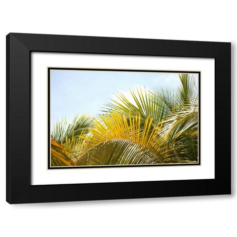 Palms at Noon Black Modern Wood Framed Art Print with Double Matting by Millet, Karyn