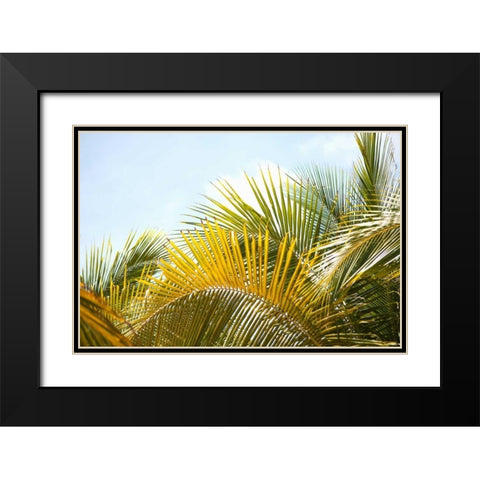 Palms at Noon Black Modern Wood Framed Art Print with Double Matting by Millet, Karyn