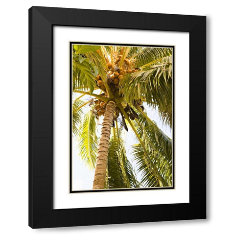 Beach Palm I Black Modern Wood Framed Art Print with Double Matting by Millet, Karyn
