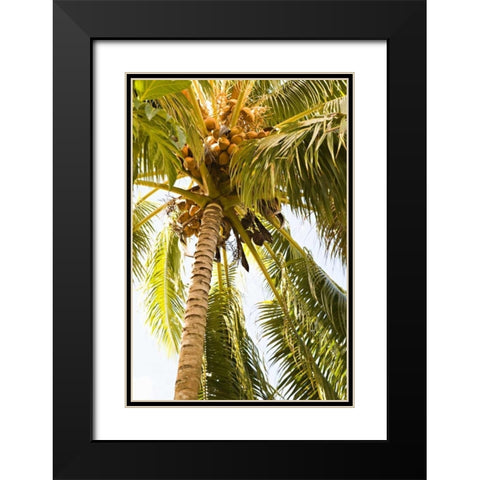 Beach Palm I Black Modern Wood Framed Art Print with Double Matting by Millet, Karyn