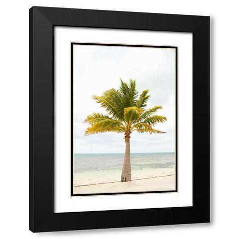 Beach Palm II Black Modern Wood Framed Art Print with Double Matting by Millet, Karyn