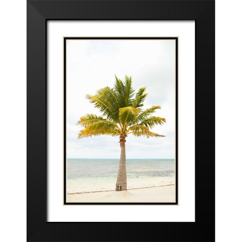 Beach Palm II Black Modern Wood Framed Art Print with Double Matting by Millet, Karyn