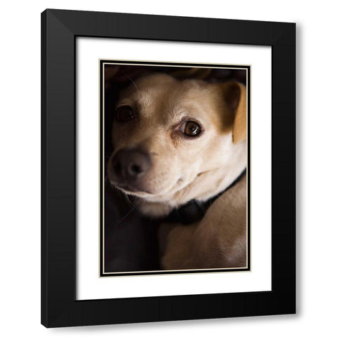 Second Glance Black Modern Wood Framed Art Print with Double Matting by Millet, Karyn