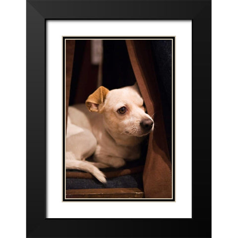 Napping Black Modern Wood Framed Art Print with Double Matting by Millet, Karyn