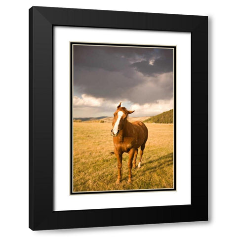 Out in the Pasture I Black Modern Wood Framed Art Print with Double Matting by Millet, Karyn