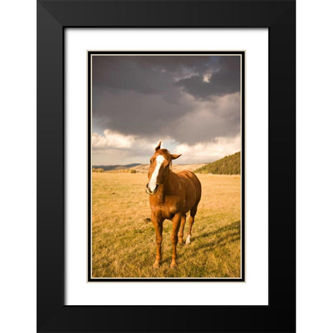 Out in the Pasture I Black Modern Wood Framed Art Print with Double Matting by Millet, Karyn