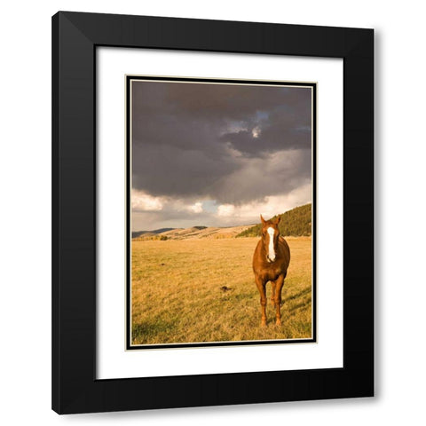 Out in the Pasture II Black Modern Wood Framed Art Print with Double Matting by Millet, Karyn
