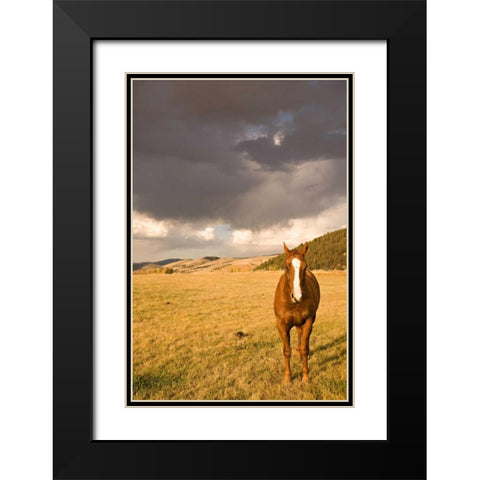Out in the Pasture II Black Modern Wood Framed Art Print with Double Matting by Millet, Karyn