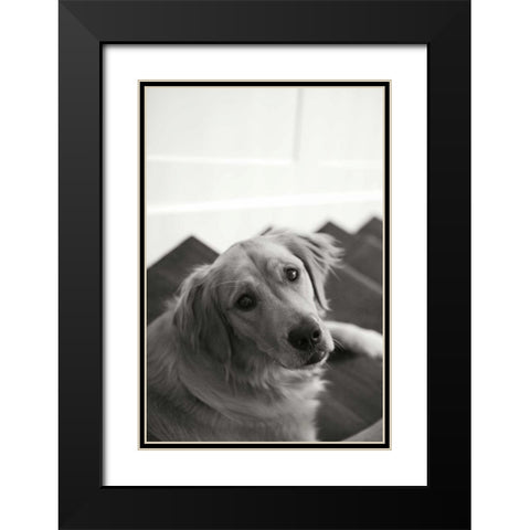 Goldie I Black Modern Wood Framed Art Print with Double Matting by Millet, Karyn