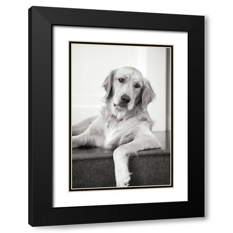 Goldie II Black Modern Wood Framed Art Print with Double Matting by Millet, Karyn