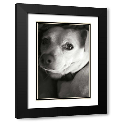 Second Glance Black Modern Wood Framed Art Print with Double Matting by Millet, Karyn