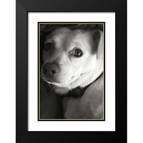 Second Glance Black Modern Wood Framed Art Print with Double Matting by Millet, Karyn