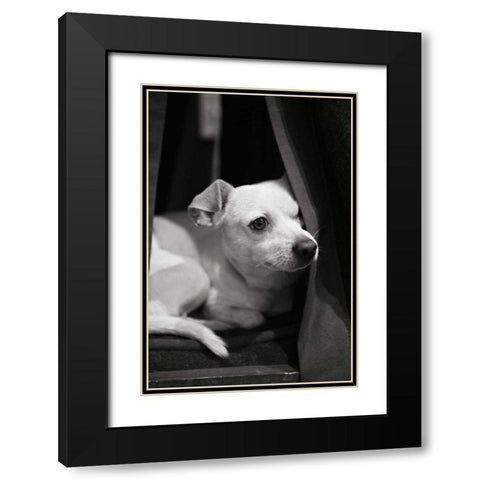 Napping Black Modern Wood Framed Art Print with Double Matting by Millet, Karyn