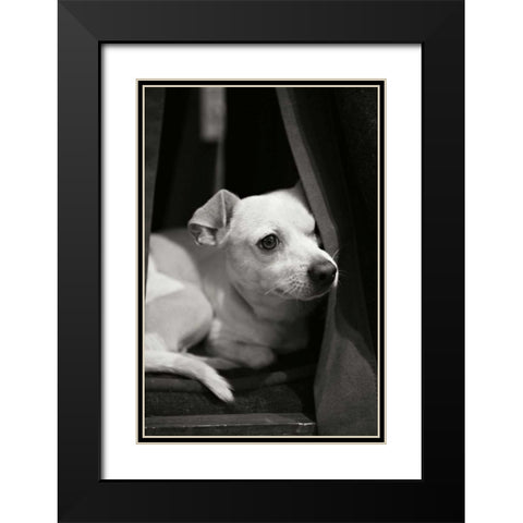 Napping Black Modern Wood Framed Art Print with Double Matting by Millet, Karyn
