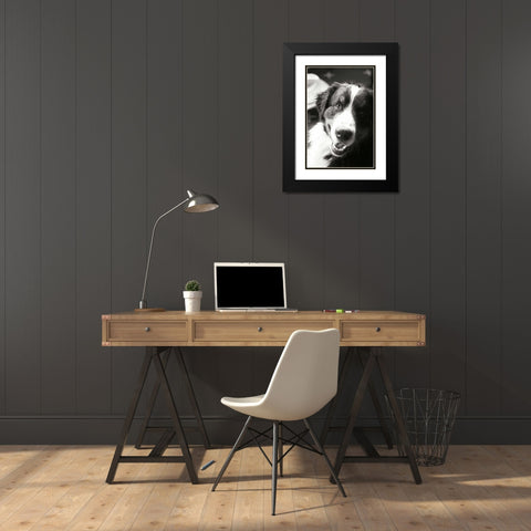 Ranch Dog Black Modern Wood Framed Art Print with Double Matting by Millet, Karyn